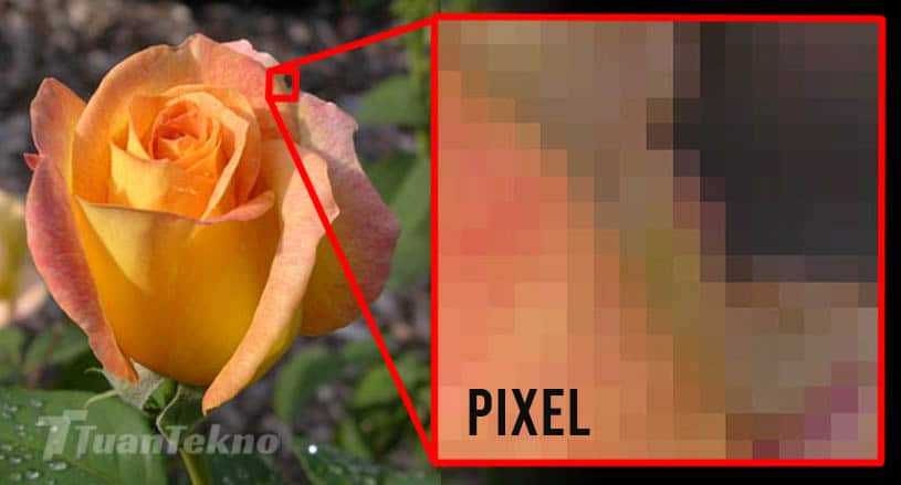 Gambar Digital: Jenis, Kekurangan & Kelebihannya - Tuan Tekno