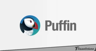 download video di puffin browser