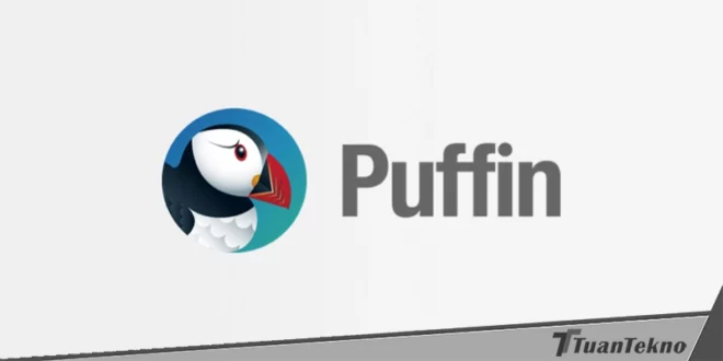 download video di puffin browser