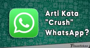 arti kata crush di whatsapp