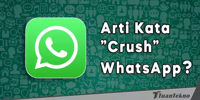 arti kata crush di whatsapp