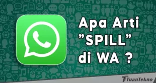 arti spill di wa