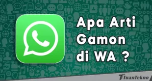 singkatan dan arti gamon di wa